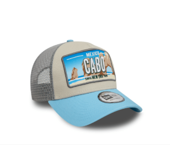 LICENSE PLATE TRUCKER NEWERA STNDBL